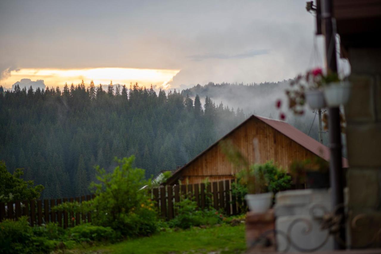 Villa Filiak Яблоница Экстерьер фото